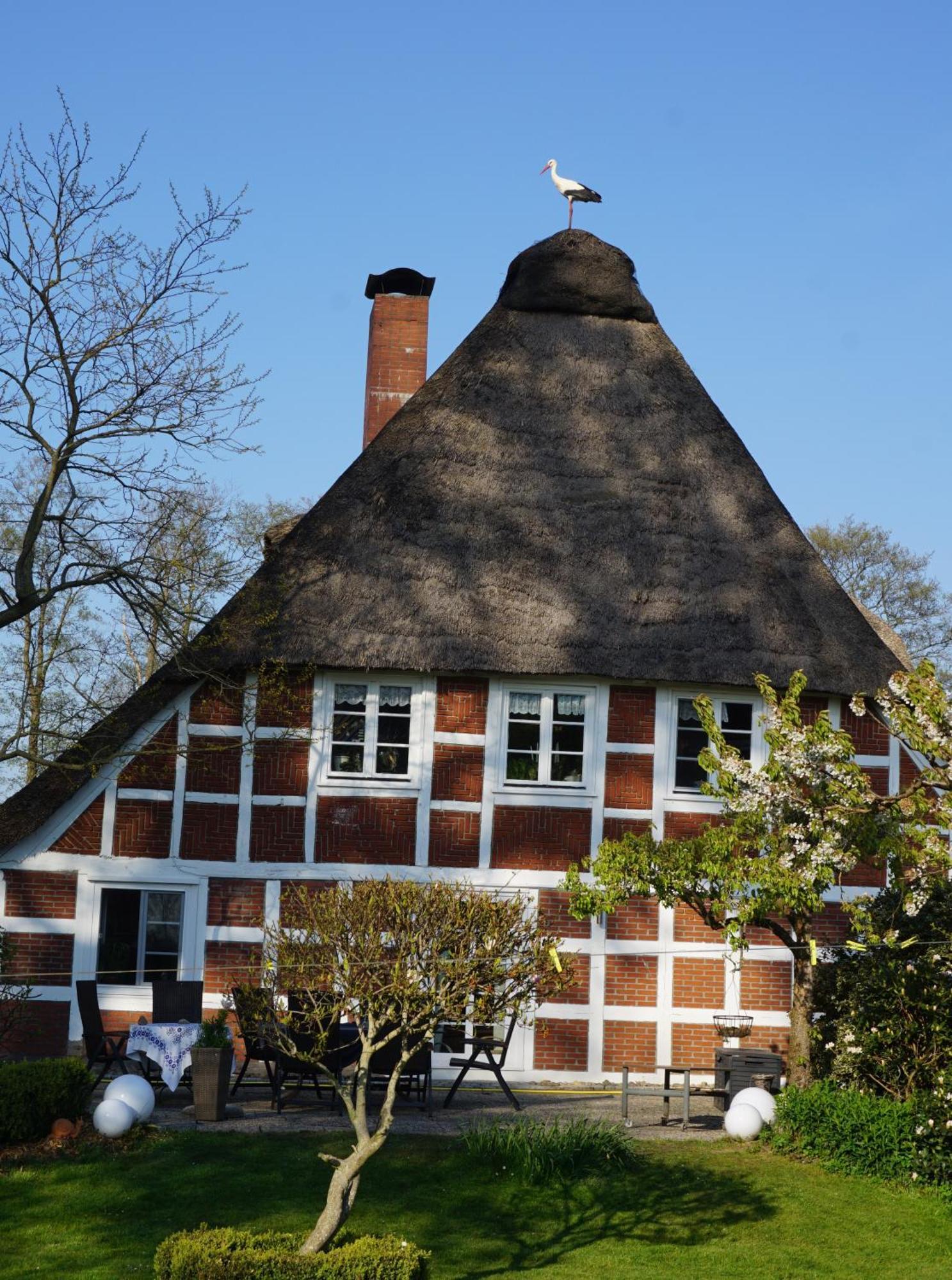 Altes Landhaus Oste, Klavier Appartement, 2 Zimmer Mit Kamin Hemmoor Exterior foto